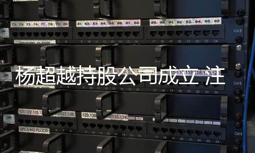 0万注册资本股公司成杨超越持元立
