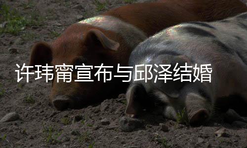 布与甯宣许玮心如 幸结婚开心福福快送祝远邱泽 林乐永